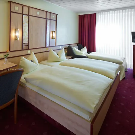 Hotel Alfa Zentrum 3*