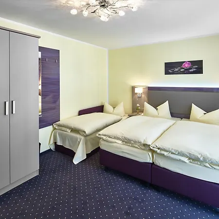 Hotel Alfa Zentrum 3*