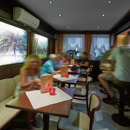 Szálloda Alfa Zentrum 3*