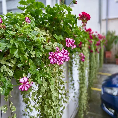 Alfa Zentrum München