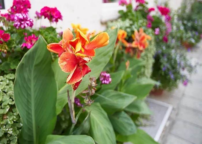 Alfa Zentrum Hotel Monachium