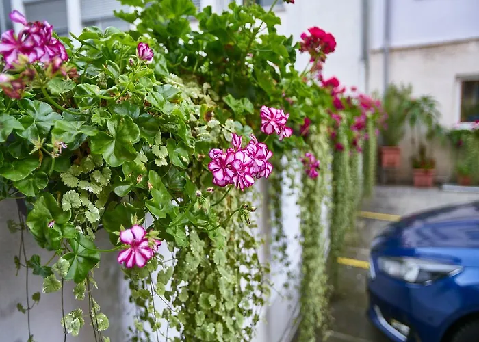 Alfa Zentrum Monachium